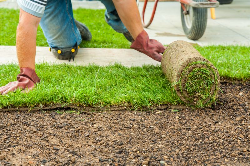 Commercial Sod Installation