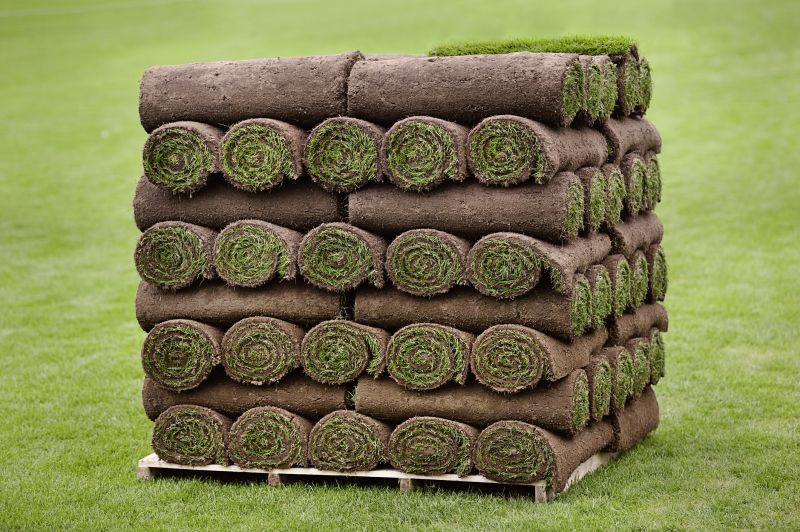 Commercial Sod Installation