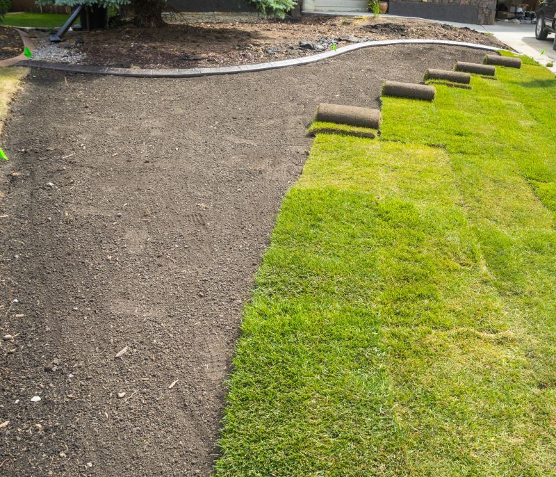 Commercial Sod Installation
