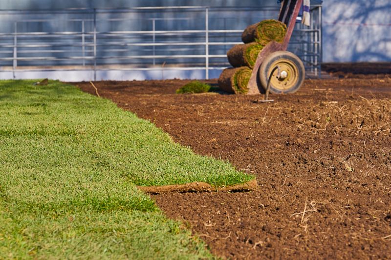 Commercial Sod Installation
