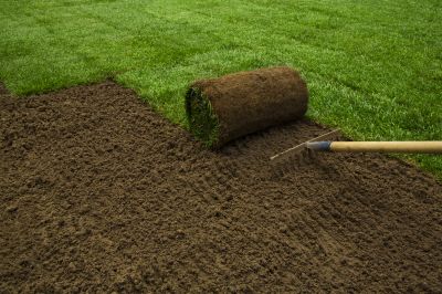 Professional Sod Installation Process