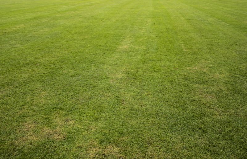 Fescue Sod Installation in Ventura County, CA