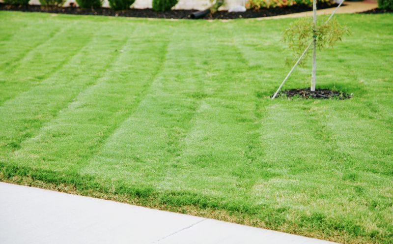 Healthy, Green Sodded Lawn