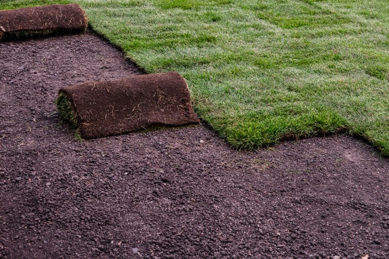 Sod Landscaping
