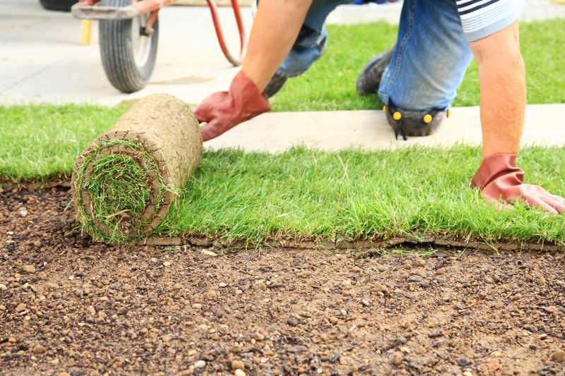 Professional Sod Installation Team