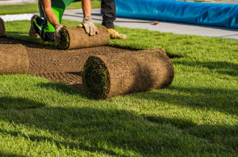 Zoysia Grass Installation in Aiken, SC