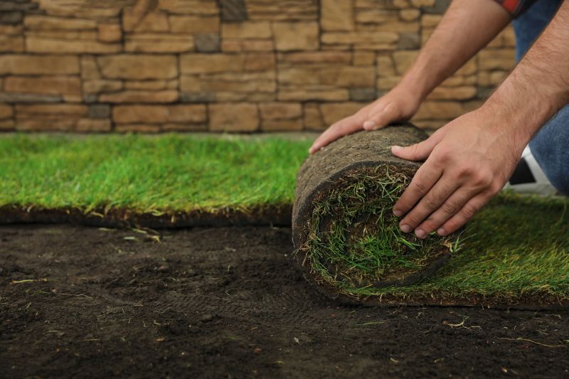 Fescue Sod Installation in Ventura County, CA