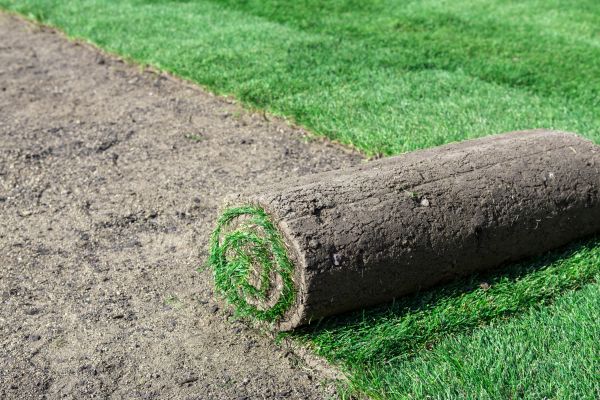 Commercial Sod Installation - Commercial Sod Installation Chandler, Arizona
